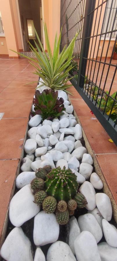 Villa Terreros San Juan de los Terreros Dış mekan fotoğraf