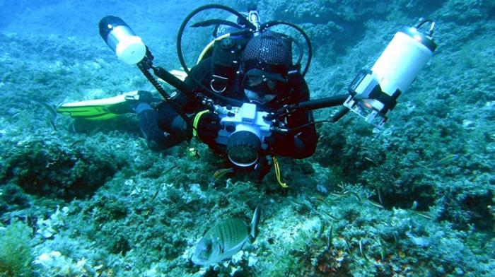 Villa Terreros San Juan de los Terreros Dış mekan fotoğraf